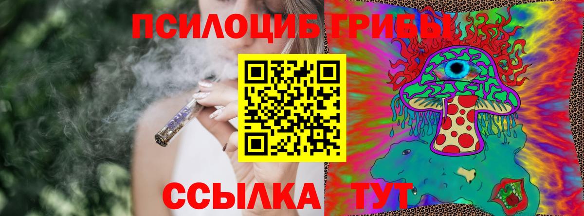 Галлюциногенные грибы прущие грибы Печора